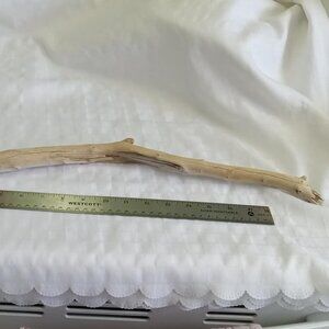 No4 Hand-collected big piece of driftwood, cleaned for aquarium/terrarium/craft